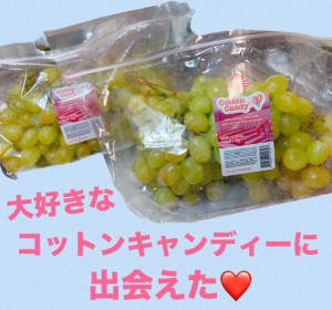 �݂�