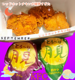 �܏\���䂢