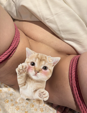 �A���J�����l