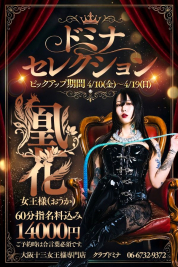 ����(������)�����l