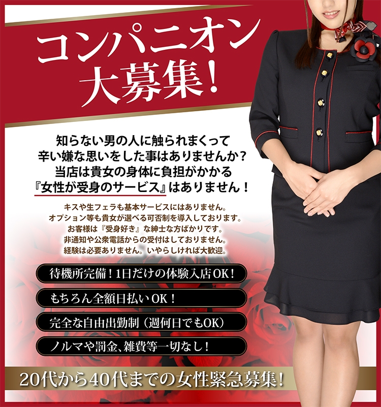 コンパニオン大募集!