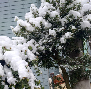 ���i�����j