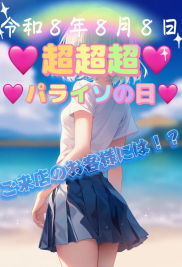 ���p���C�\�̓�