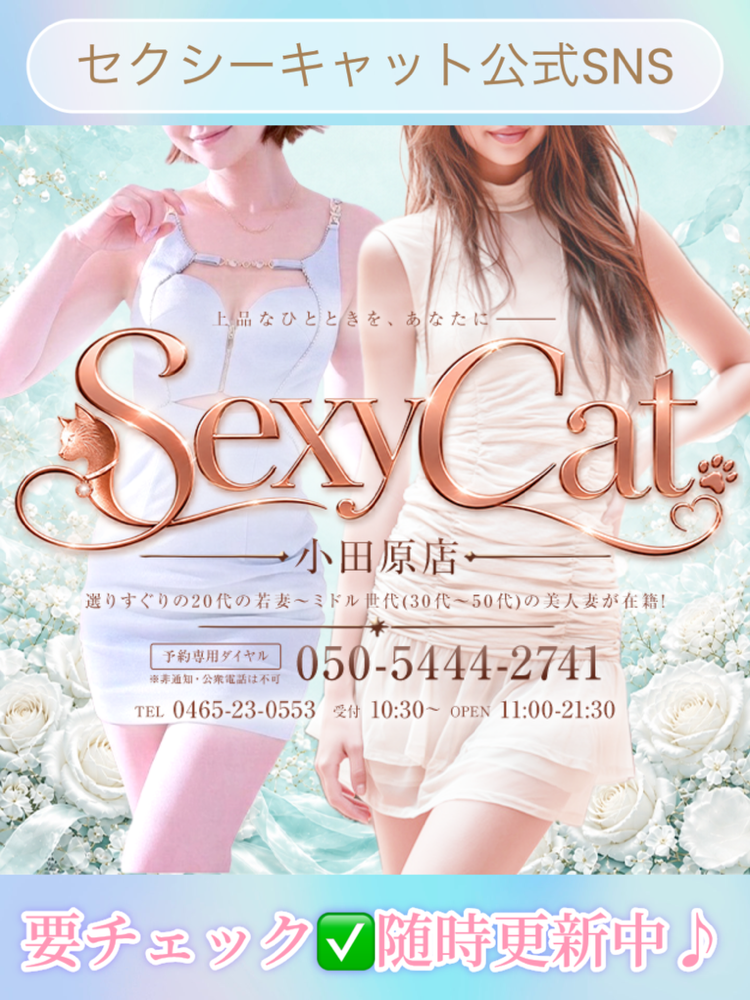 セクシーキャット小田原店
