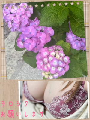 �J�C