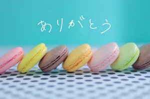 白井りこ　ピックアップキャスト