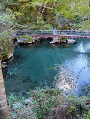 前原くみ　ピックアップキャスト