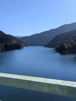 綾波玲子　ピックアップキャスト