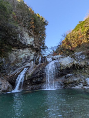 綾波玲子　ピックアップキャスト