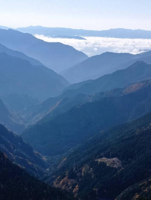 前原くみ【PICKUP】