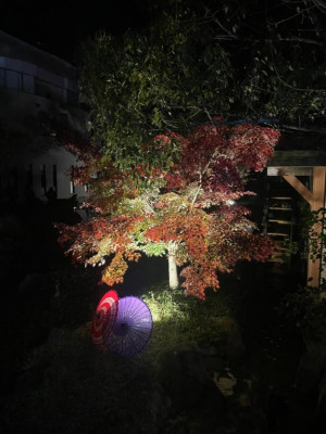 前原くみ【PICKUP】