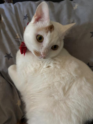 みかこ【PICKUP】