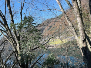 内田ゆう【WOMAN】