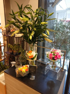 つばき【PREMIUM】