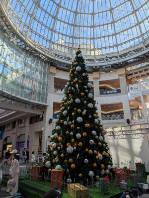 つばき【PREMIUM】