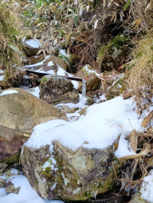 前原くみ【PICKUP】