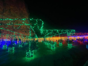 前原くみ【PICKUP】