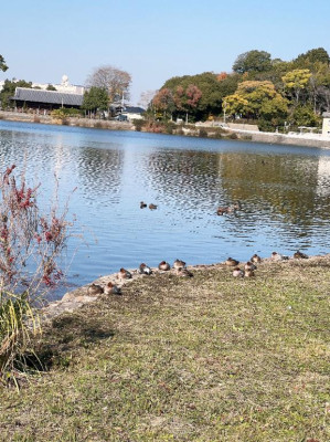 内田ゆう【WOMAN】