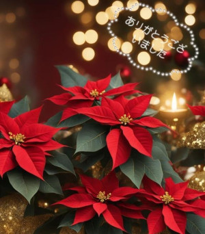 黒木まな【WOMAN】