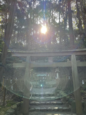 青柳れお【WOMAN】