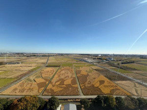 みかこ【PICKUP】