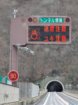 綾波玲子【PICKUP】