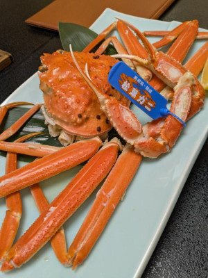 綾波玲子【PICKUP】