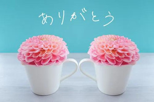 白井りこ【PICKUP】