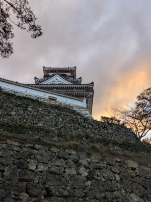 綾波玲子【PICKUP】