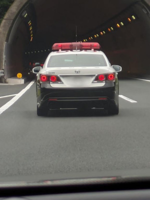 綾波玲子【PICKUP】