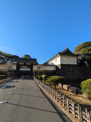 綾波玲子【PICKUP】