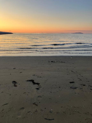 みなさん体悪く入院してます。