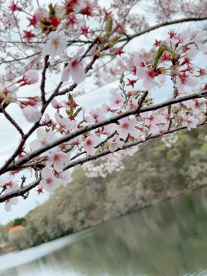 内田ゆう【WOMAN】