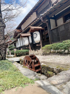 内田ゆう【WOMAN】