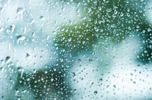 泣きたい気持ちは