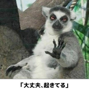 さやか【PREMIUM】