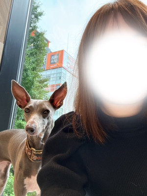 えり