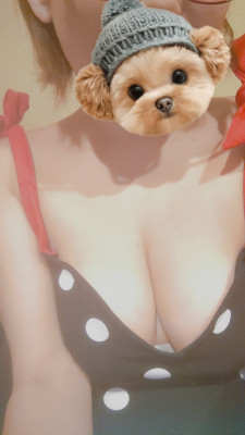 メイ