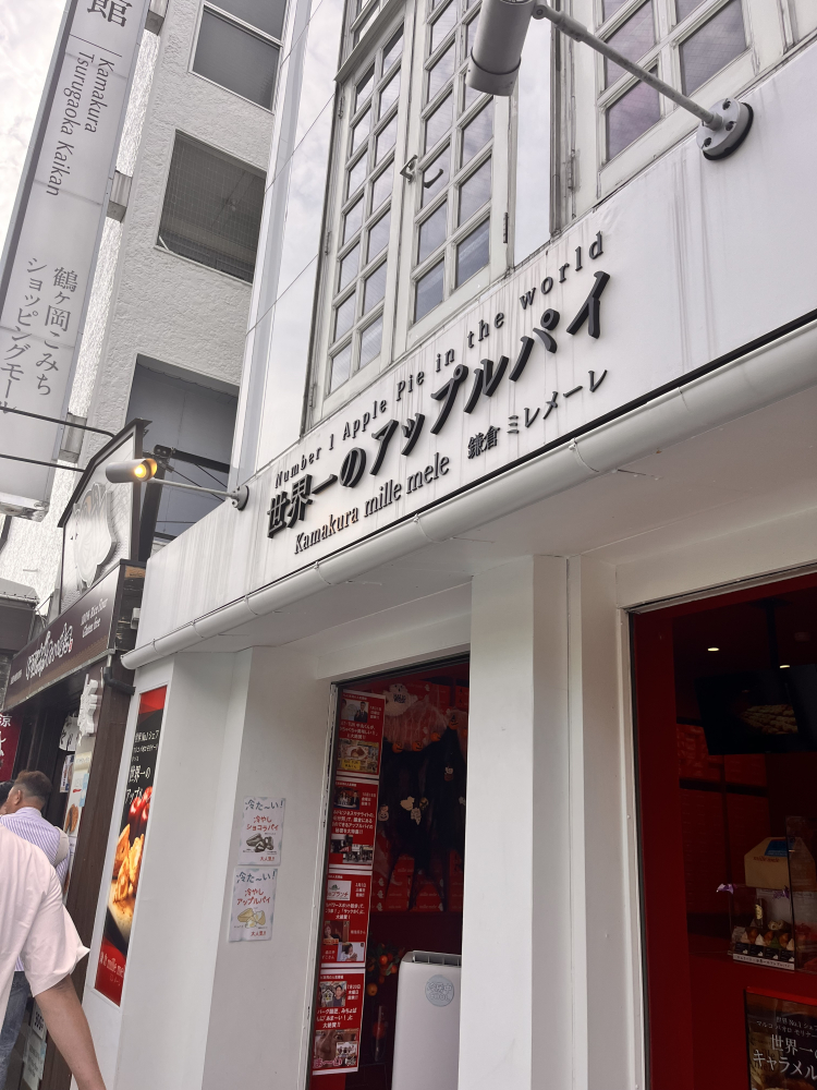 翼