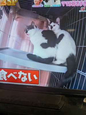 渋谷