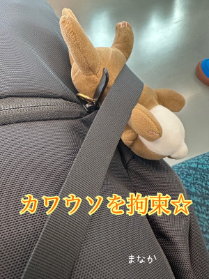 つい…電車でやりがちな事