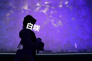 白咲(しろさき)