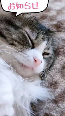 今日の出勤時間♡