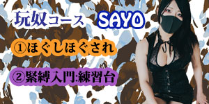 小夜女王様玩奴コース