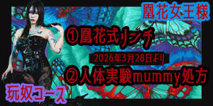 凰花女王様玩奴コース