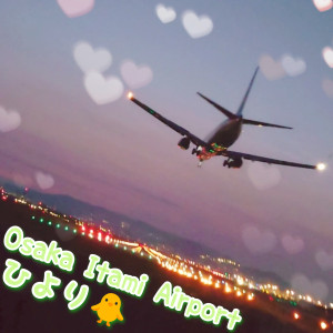 ひより