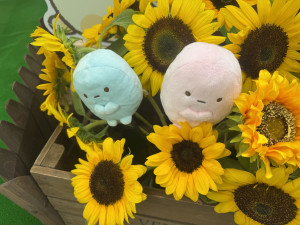えな