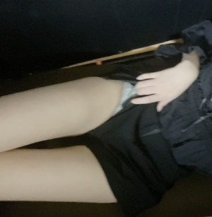 新人 しき