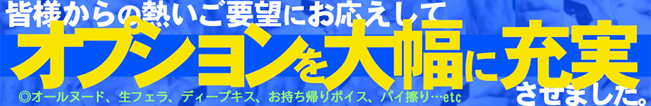 オプション大幅に充実