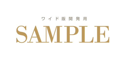 ワイド版開発店舗